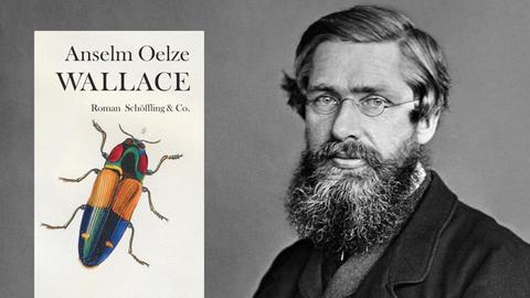 Buchcover "Anselm Oelze: Wallace" und der britische Naturforscher Wallace