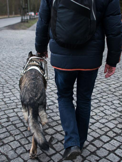 Ein Blinder geht mit seinem Blindenhund spazieren.