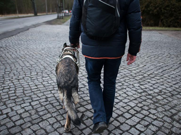 Ein Blinder geht mit seinem Blindenhund spazieren.