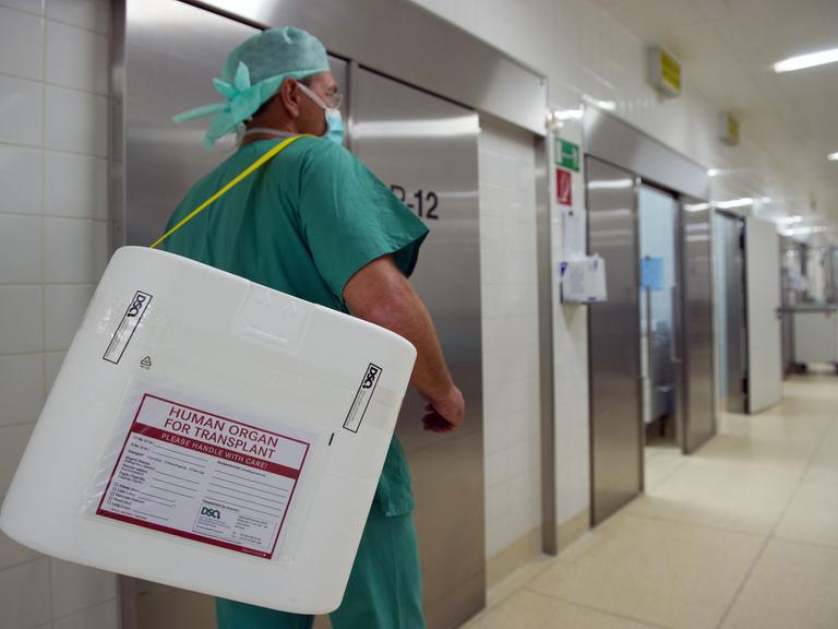 Ein Mann in grüner OP-Kleidung trägt einen Styropor-Behälter für den Transport von Spenderorganen an einem Operationssaal vorbei.