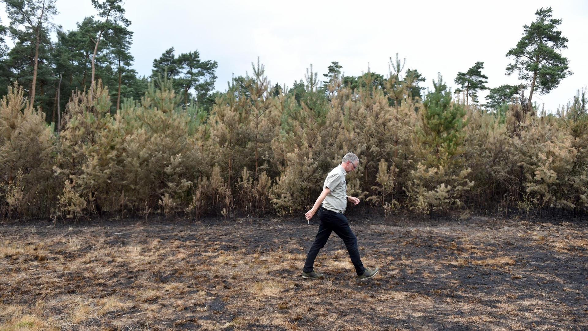 Kersten Blaschczok, Forstdirektor beim Regionalverband Ruhr (RVR), dokumentiert im Juli 2018 die Auswirkungen eines kleinen Feuers im Waldgebiet Haard.