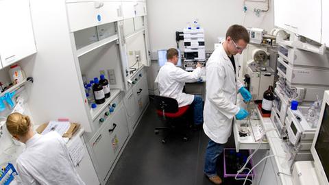 Blick in ein Labor an der  TU Dresden. Die Hochschule hat sich als Exzellenz-Universität beworben.