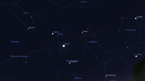 Der Mond steht heute Abend zwischen Prokyon und Jupiter