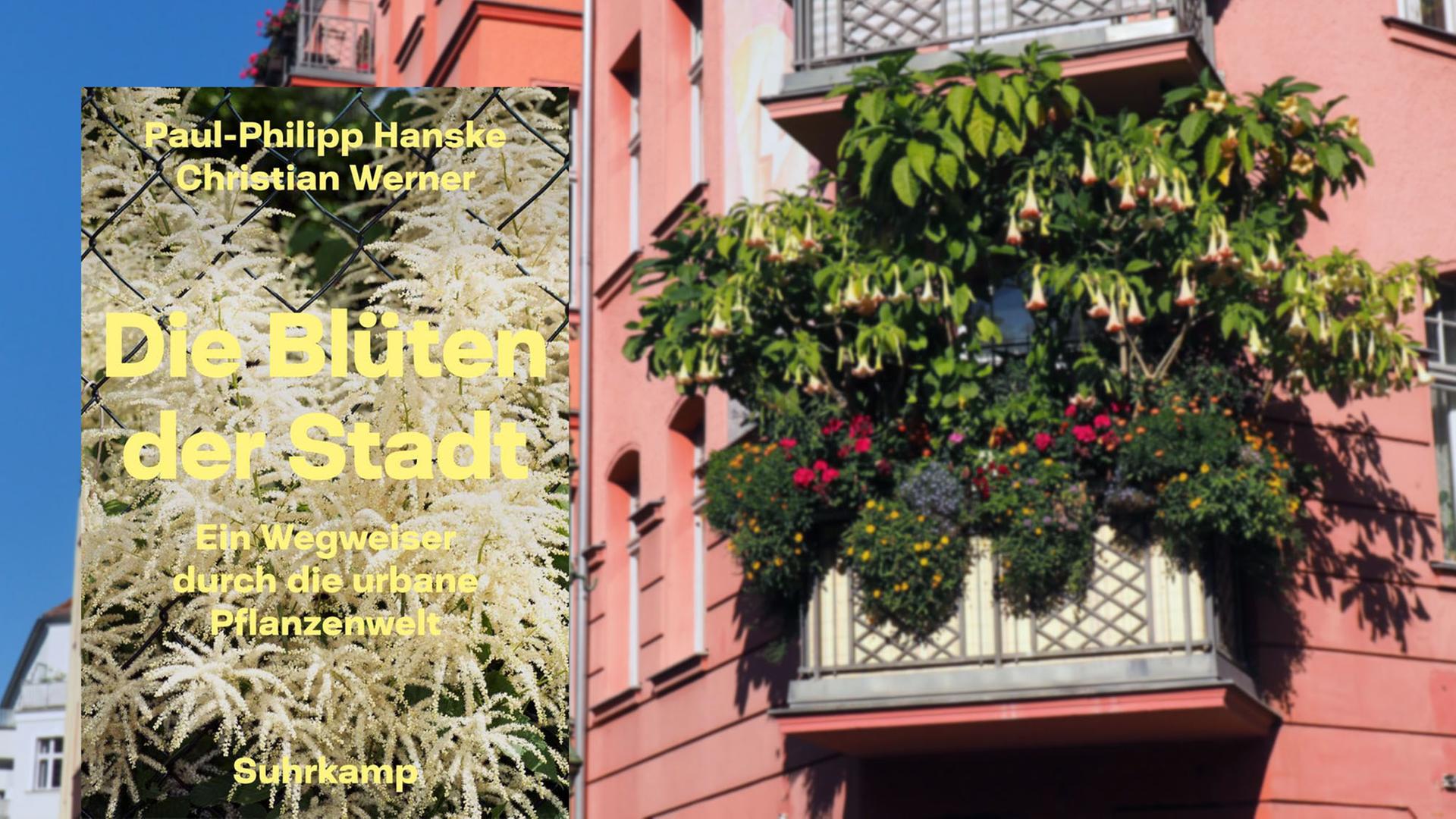 Cover von "Die Blüten der Stadt" von Paul-Philipp Hanske und Christian Werner, im Hintergrund ist ein bepflanzter städtischer Balkon zu sehen