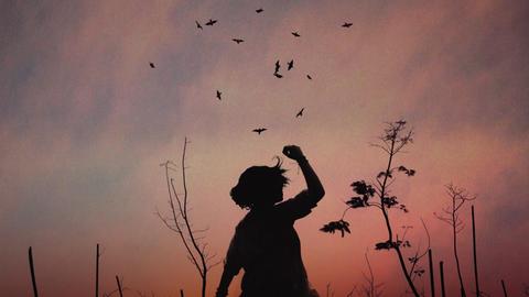 Dämmerungsaufnahme auf einer Lichtung mit den Silhouette eines Mädchens, die ihren Arm in die Höhe hält und einem Vogelschwarm über ihr.