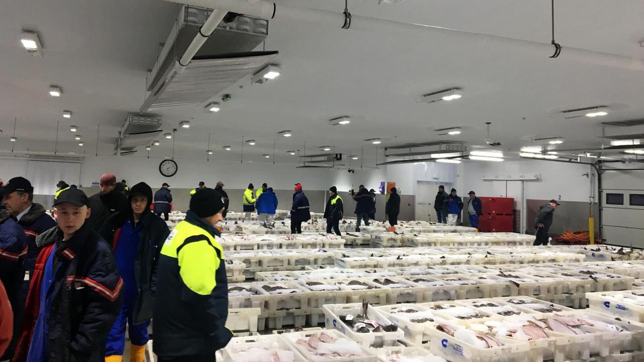 Fischmarkt in der Stadt Peterhead im Nordosten Schottlands. Eine Halle, in der lauter Kisten mit frischen Fischen stehen.