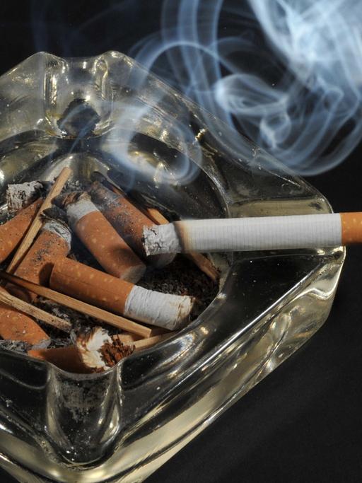 Eine Zigarette, bei der Rauch aufsteigt, auf einem Aschenbecher, in dem mehrere ausgedrückte Zigaretten und Streichhölzer liegen, vor schwarzem Hintergrund