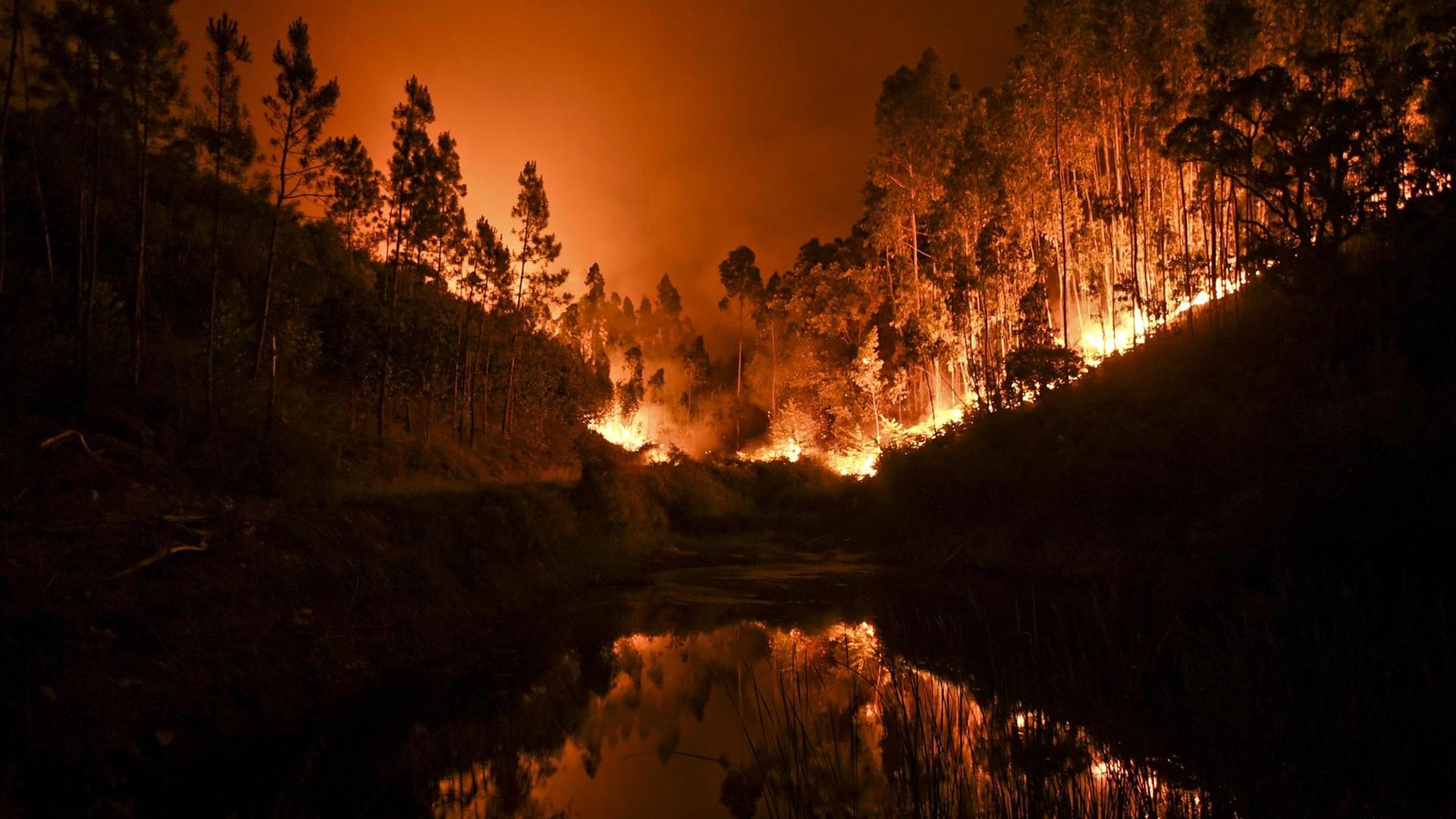 Waldbrand in Penela, Coimbra, Portugal am 18. Juni 2017