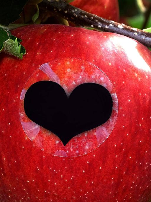 Ein prächtiger Jonagold-Apfel trägt ein Smiley