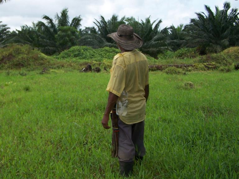 20.000 Quadratkilometer Land will Kolumbiens Regierung an Landwirte zurückgeben.
