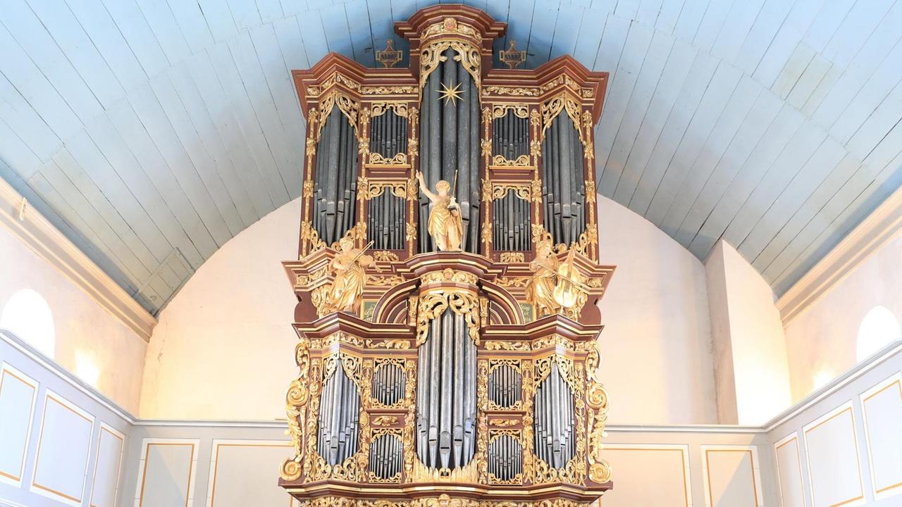 Der golden verzierte Orgelprospekt in der Kirche St. Peter und Paul in Cappel.