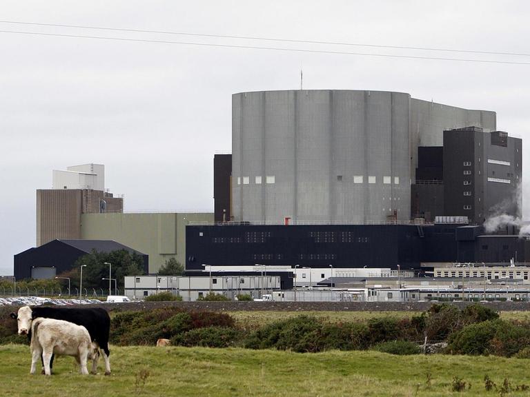 Das stillgelegte Atomkraftwerke Wylfa in Anglesey, nahe der Ortschaft Cemaes. Das Atomkraftwerk war seit 1971 im Einsatz. Aufnahme von Oktober 2008. AFP PHOTO/Paul Ellis / AFP PHOTO / PAUL ELLIS