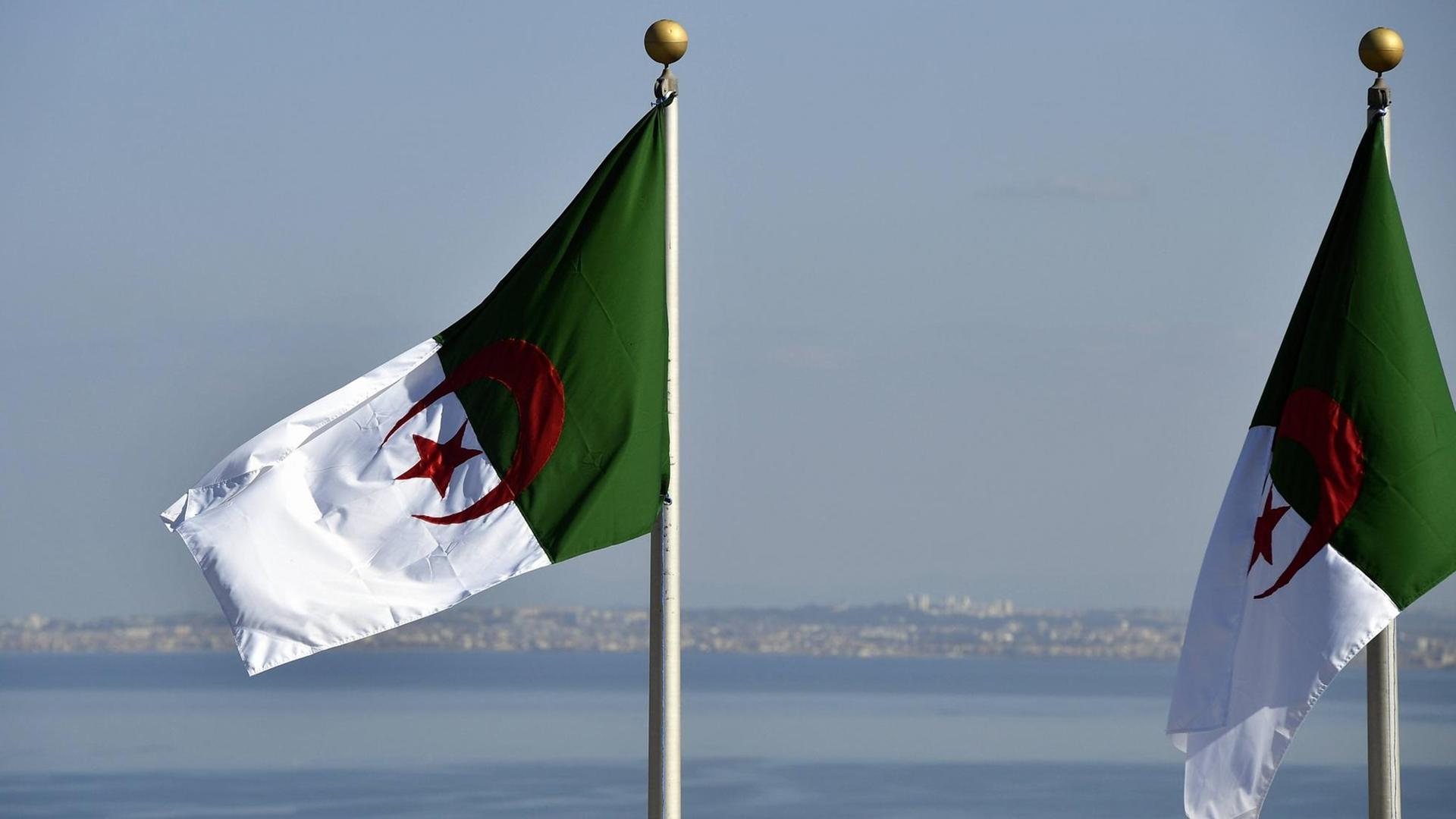 Algerische Flaggen, im Hintergrund das Meer.