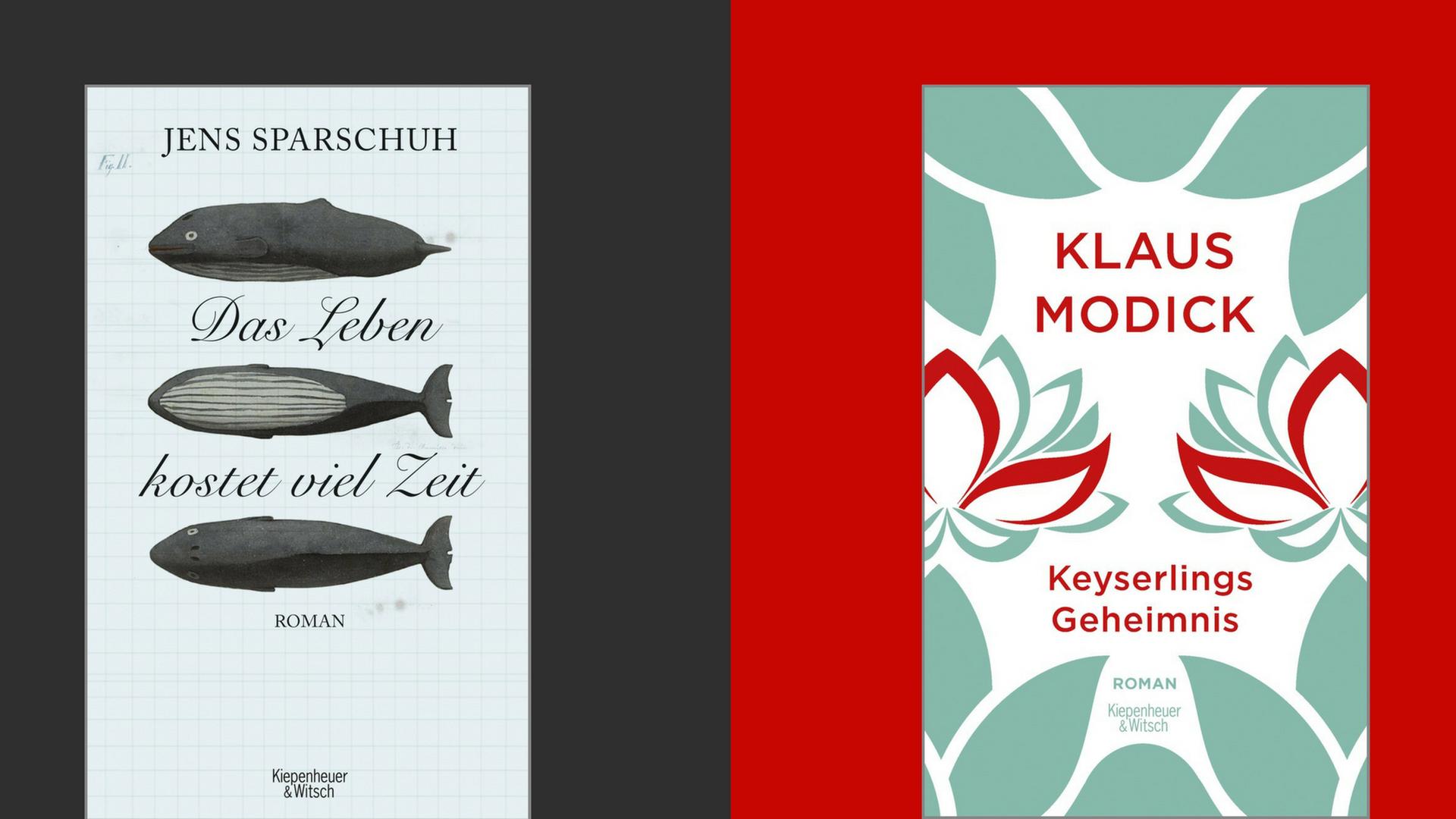 Buchcover: Jens Sparschuh: "Das Leben kostet viel Zeit" und Klaus Modick: "Keyserlings Geheimnis"