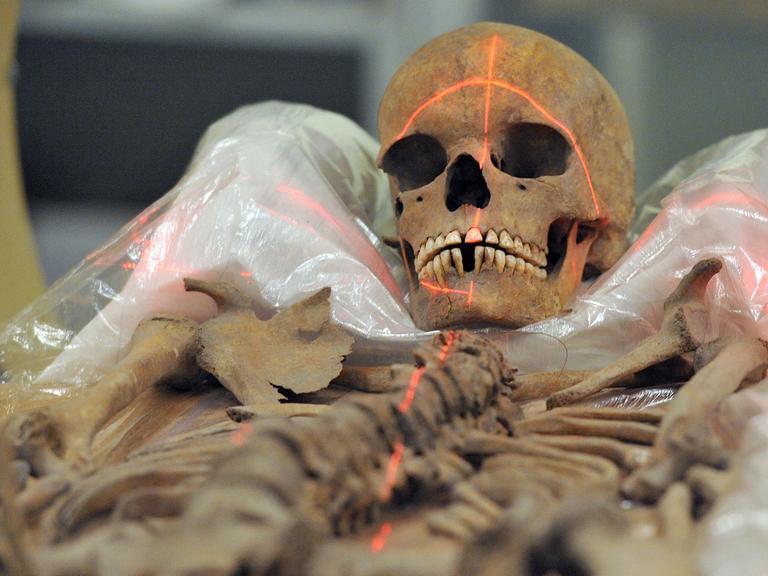 Das Skelett einer Frau aus der Bronzezeit liegt am Mittwoch (07.12.2011) in der Röhre eines Computertomographen im Museum für Naturkunde und Vorgeschichte Dessau, Sachsen Anhalt.