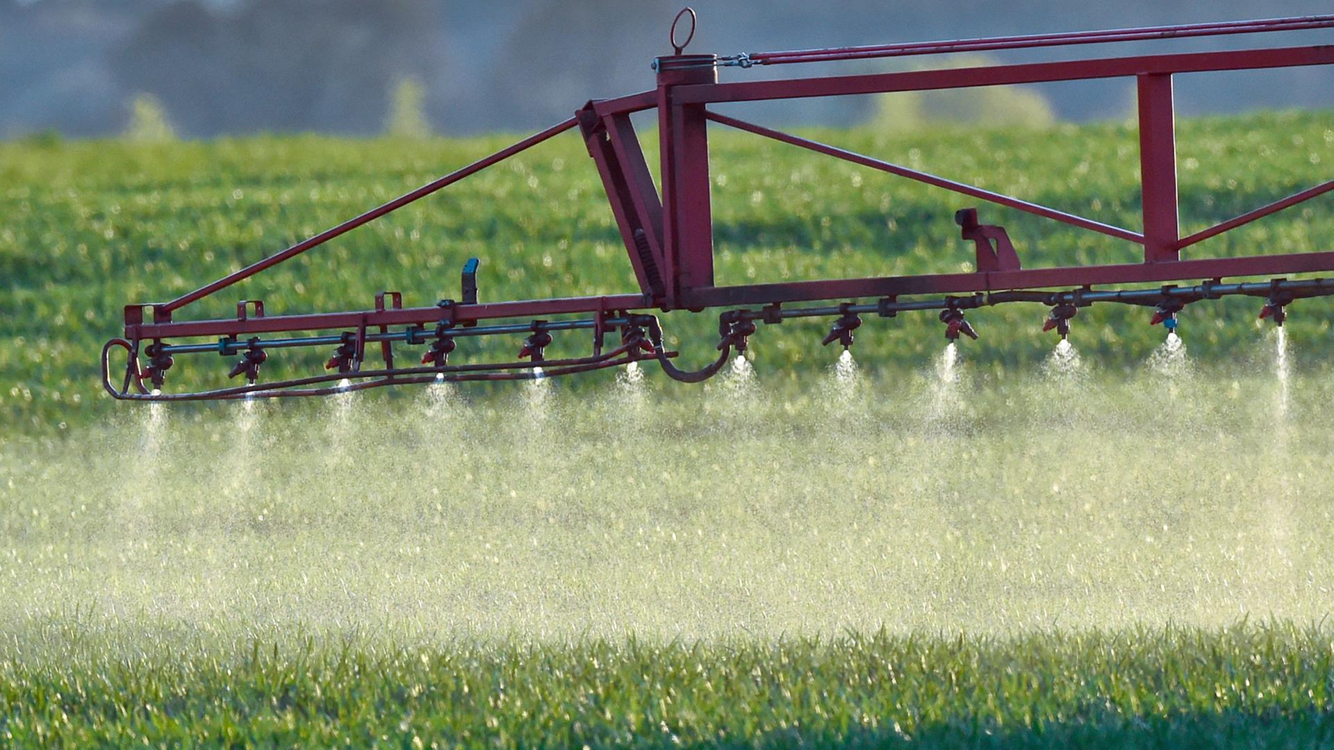 Ein Landwirt fährt mit einer Dünger- und Pestizidspritze am Traktor über ein Feld
