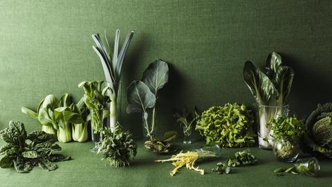 Verschiedene grüne Gemüsesorten auf einem grünen Tisch.