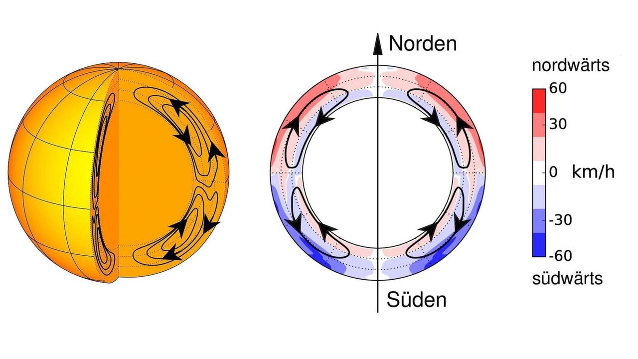 Eine großräumige, polwärts gerichtete Strömung innerhalb der Konvektionszone der Sonne könnte für den 22jährigen (magnetischen) Fleckenzyklus verantwortlich sein