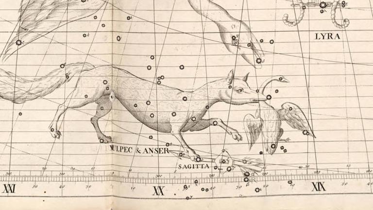 Das Sternbild Pfeil unterhalb des Fuchses in einer historischen Darstellung