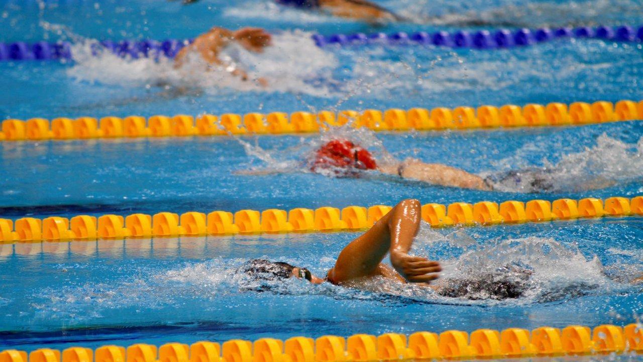 Schwimmer im Sportbecken.