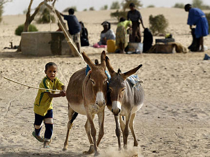 Nomadenjunge in Mali, März 2004 Nomadenjunge in Mali, März 2004