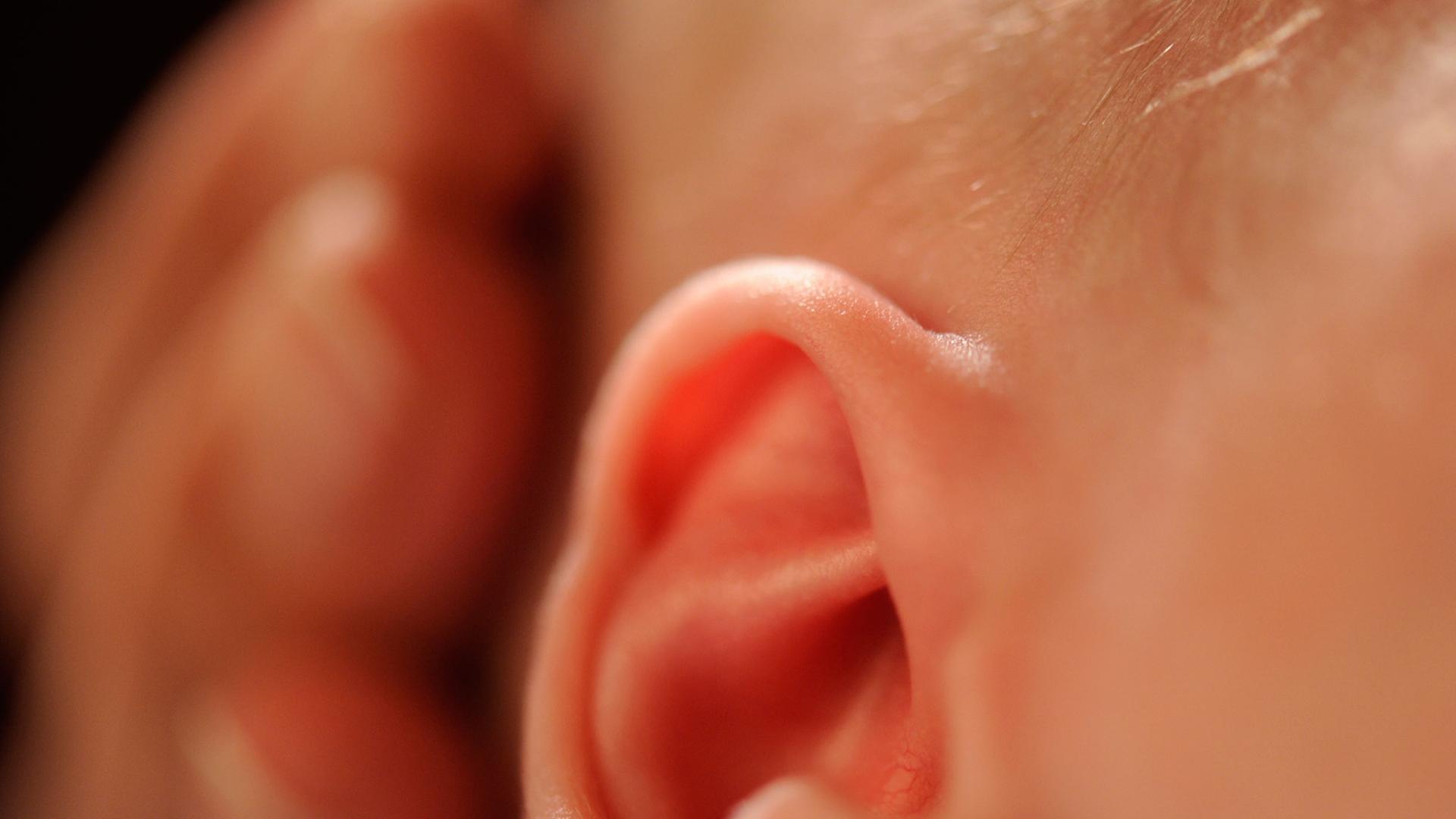 Das Ohr eines zwei Wochen alten Babys
