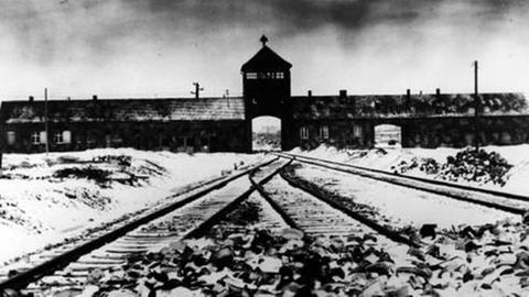 Mehr als sechs Millionen Juden wurden während der Nazi-Zeit ermordet.