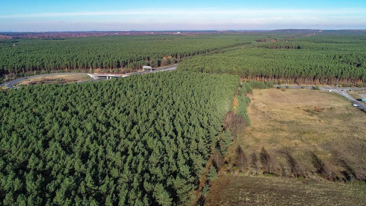 19.11.2019, Brandenburg, Freienbrink: Das Güterverkehrszentrum (GVZ) Freienbrink in der Gemeinde Grünheide östlich von Berlin. Links ist die Autobahn 10 (Berliner Ring) zu sehen. In dem riesigen Waldgebiet rechts der Autobahn plant Tesla den Bau einer Gigafactory. Foto: Patrick Pleul/dpa-Zentralbild/ZB | Verwendung weltweit