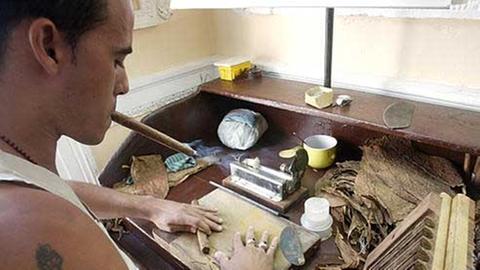 In den kubanischen Zigarrenfabriken lernten die griechischen Bauern das Handwerk.