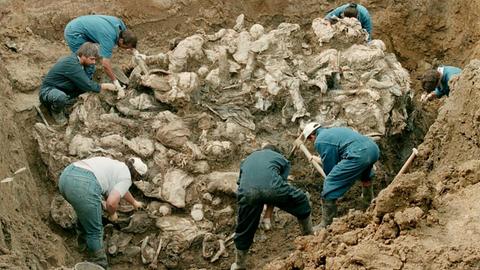 Forensische Experten vom Internationalen Kriegsverbrechertribunal in den Haag untersuchen einen Massengrab in Pilica nordöstlich von Sarajevo