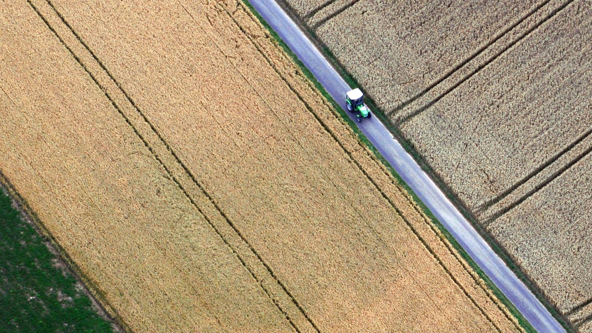 Blick aus einem Heissluftballon auf Getreidefelder bei Limburg, zwischen denen ein Traktor fährt, aufgenommen am 22.07.2008.