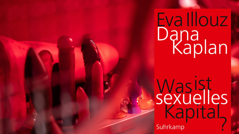 Das Cover von Eva Illouz, Dana Kaplan: „Was ist sexuelles Kapital?“ vor Sexualspielzeug