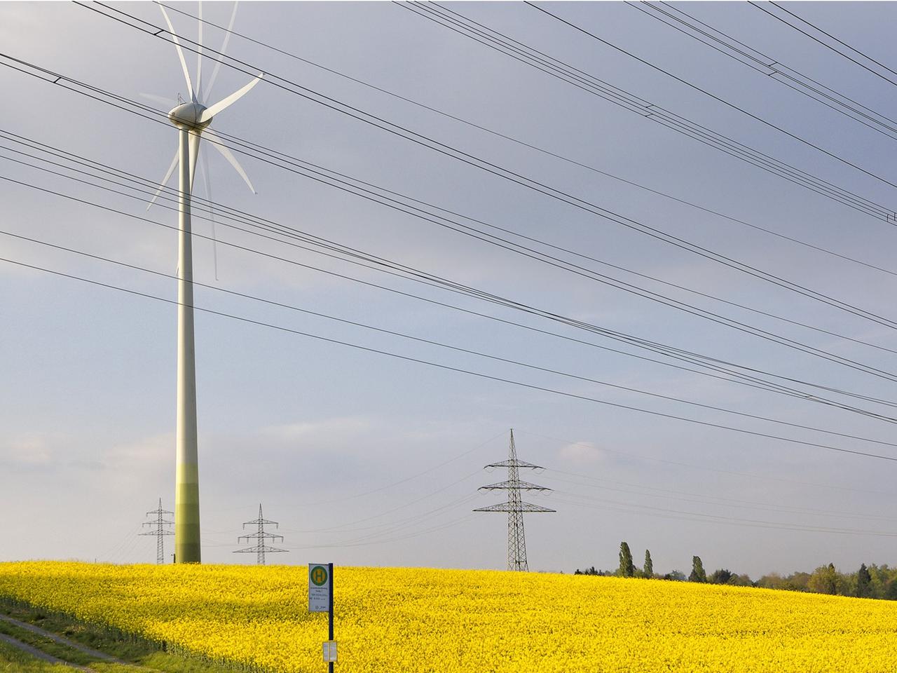 Ein Windkraftwerk neben einem Strommast inmitten eines Rapsfeldes unter blauem Himmel