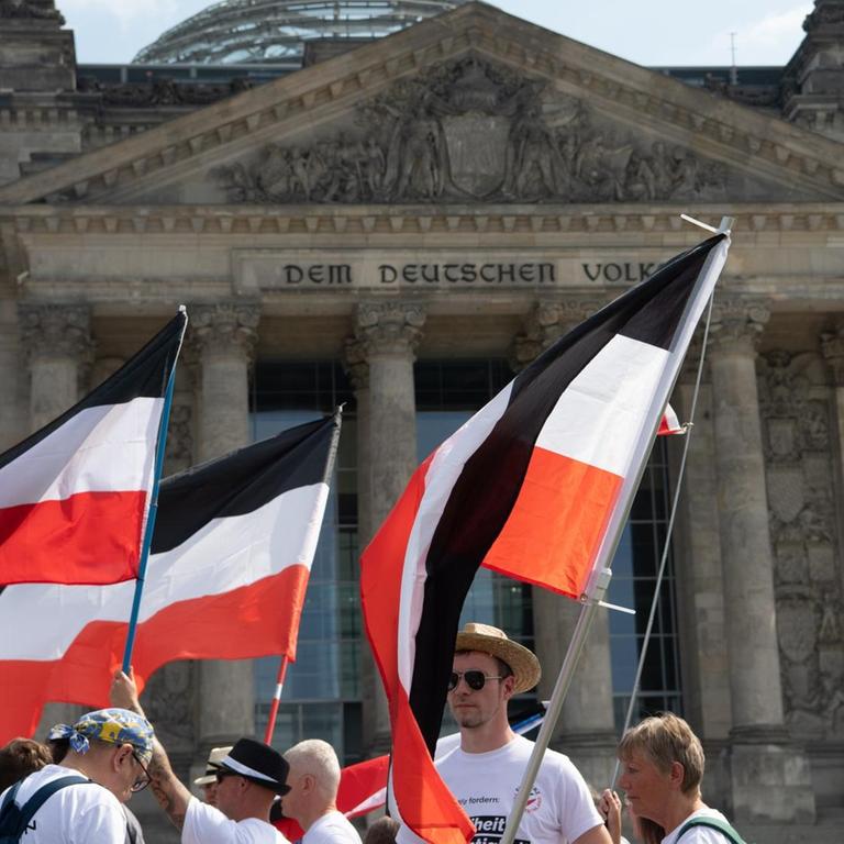 Mit ehemaligen Reichsfahnen stehen Demonstranten  vor dem Reichstag.

