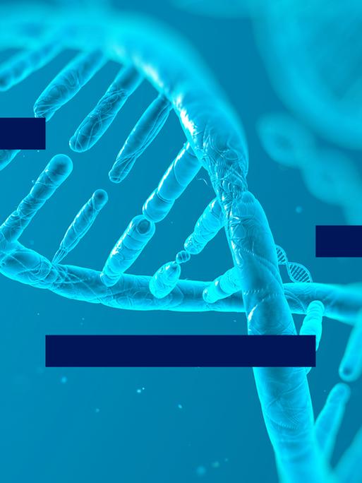 Neues aus der Wissenschaft - Die Wissenschaftsmeldungen aus "Forschung aktuell"