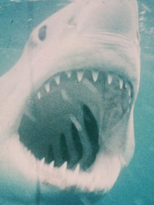 "Der weiße Hai" von Stephen Spielberg (1975)