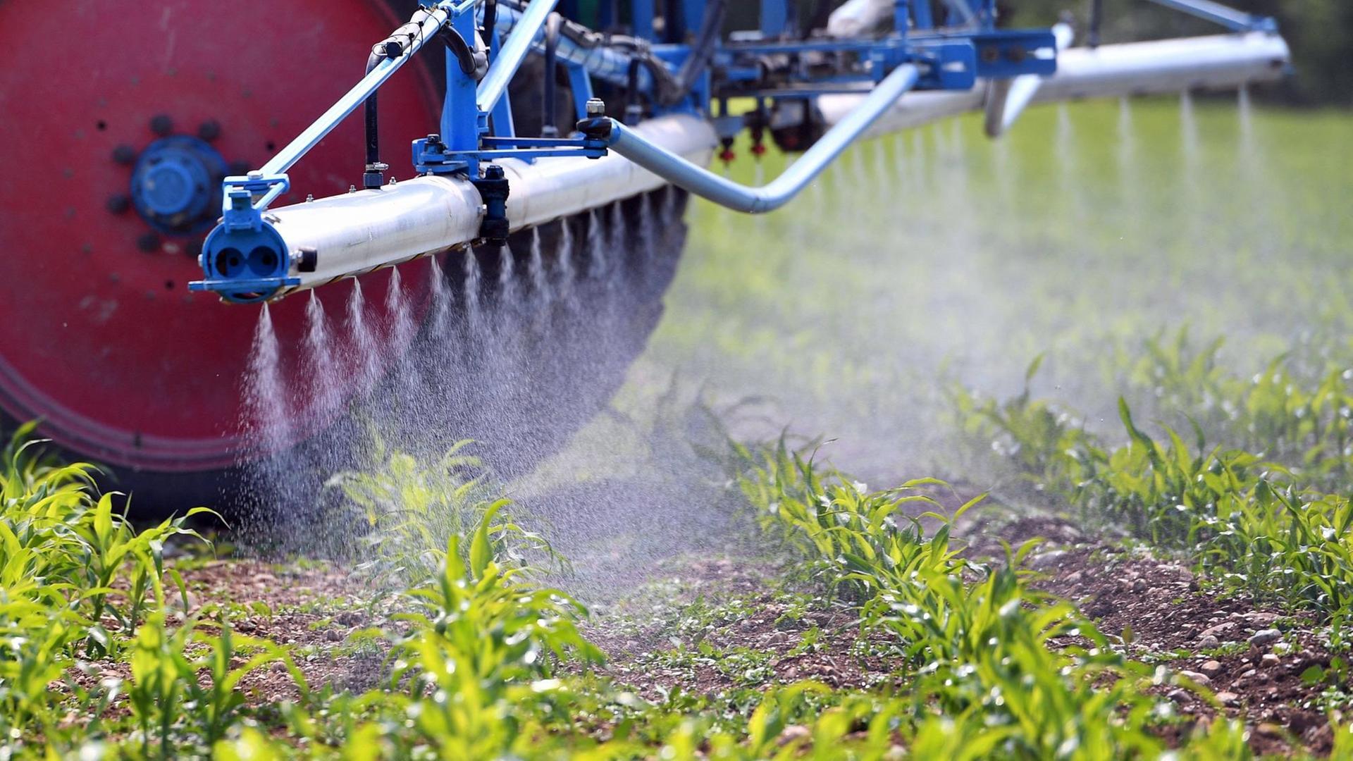 Ein Landwirt bringt das Pflanzenschutzmittel Glyphosat auf einem Feld aus.
