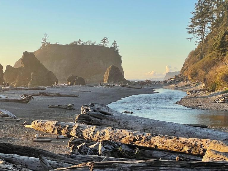 Ein Strand mit Treibholz im Vordergrund und hohen Felsen am Strand im Hintergrund.