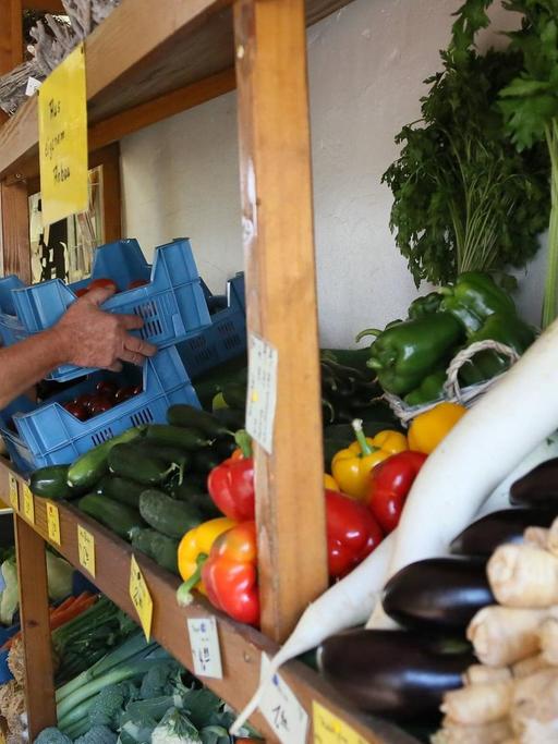 Ein Landwirt räumt Obst und Gemüse aus eigenem Anbau im Hofladen ein.