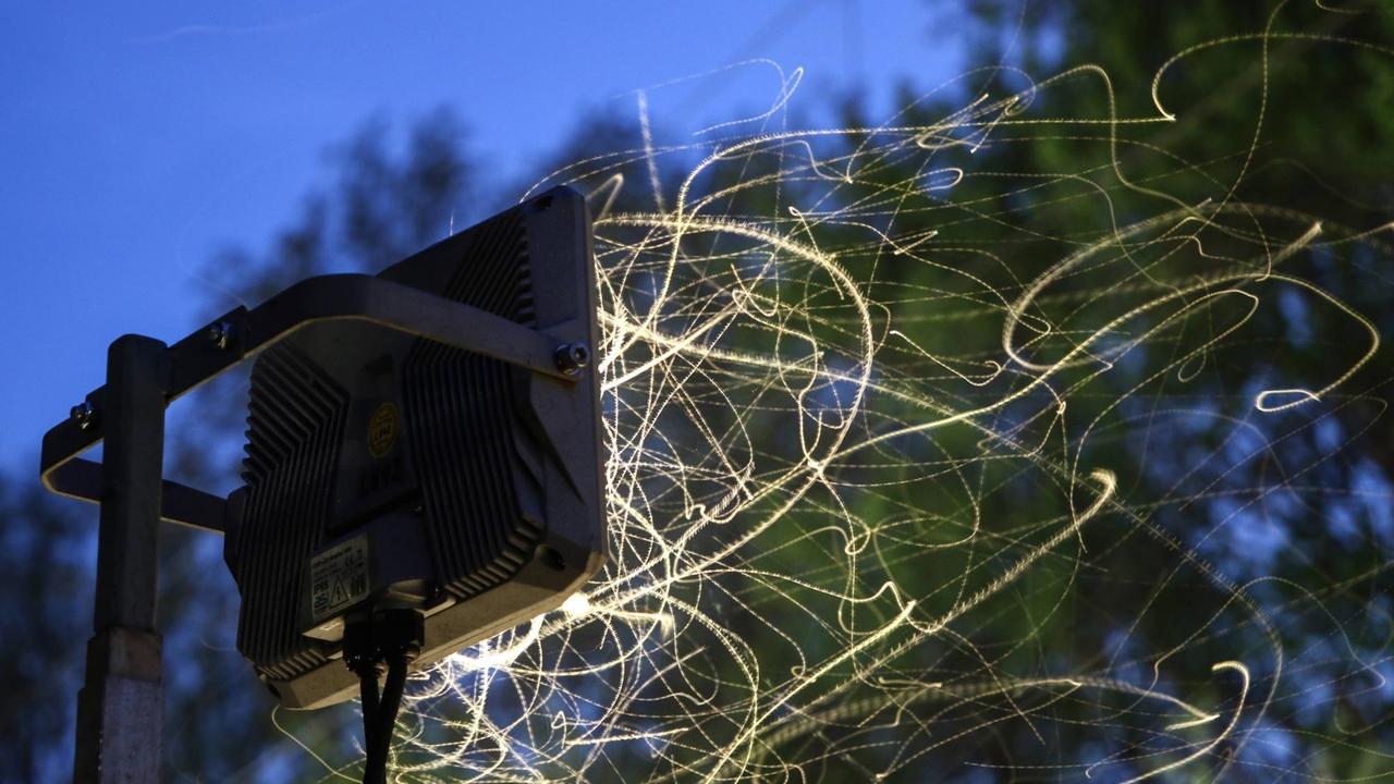 Flugspuren von Insekten, die völlig orientierungslos und unter massiven Stress von grellen LED Scheinwerfern angelockt werden.