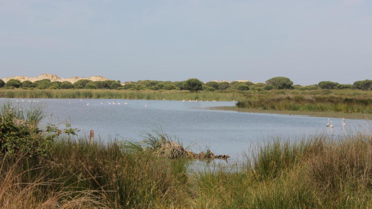 Die bedrohte Lagune Santa Olalla im Nationalpark Doñana