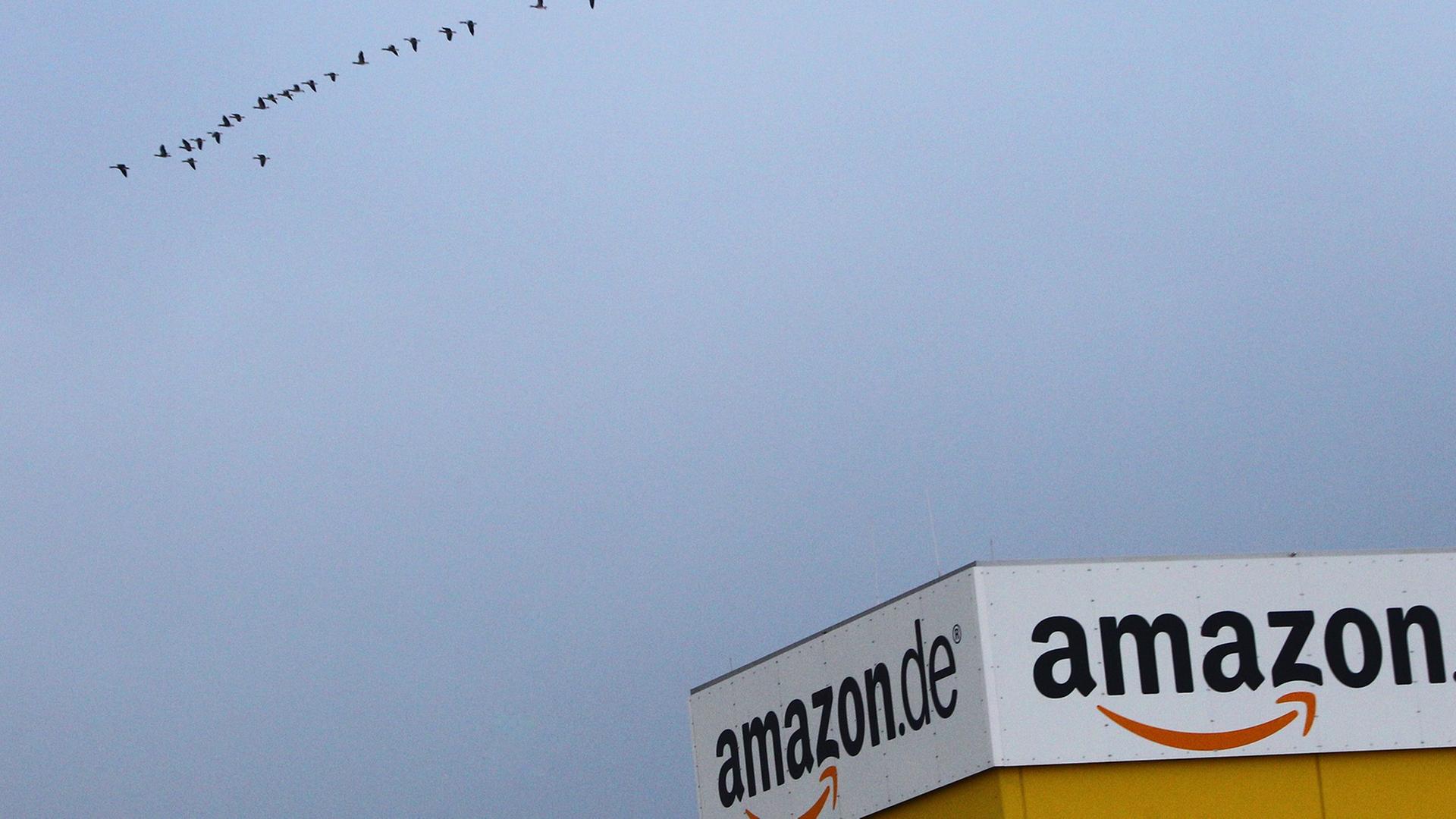 Vögel fliegen am 22.09.2014 über dem Handelszentrum des Versandhändler Amazon in Graben (Bayern).