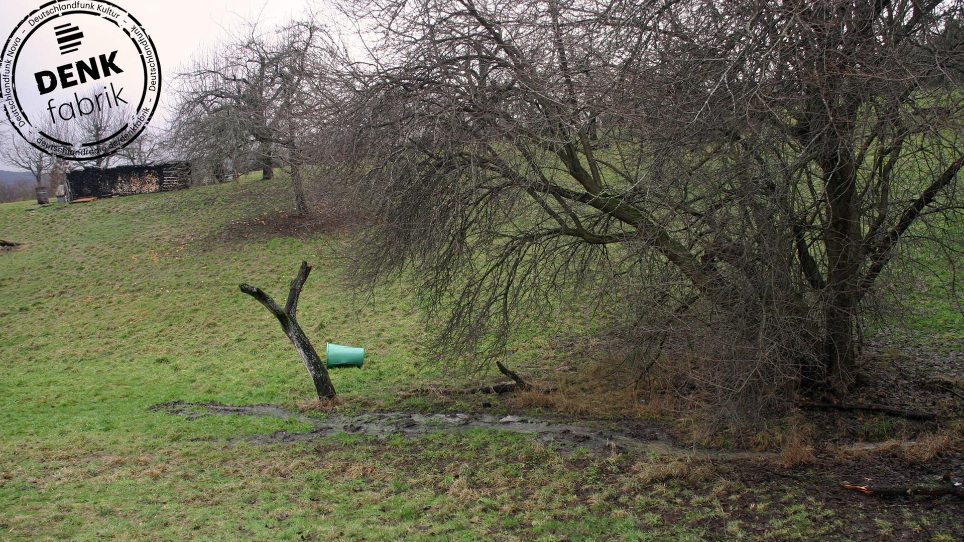 Sickerwasser in der Verlängerung der stillgelegten Müllkippe "Kuhfriedhof" in Dettingen an der Erms in Baden-Württemberg.