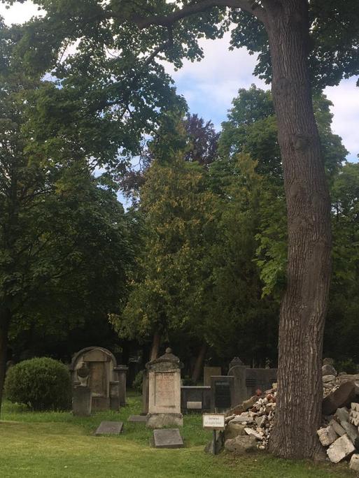 Der alte Israelitische Friedhof in München zerfällt.