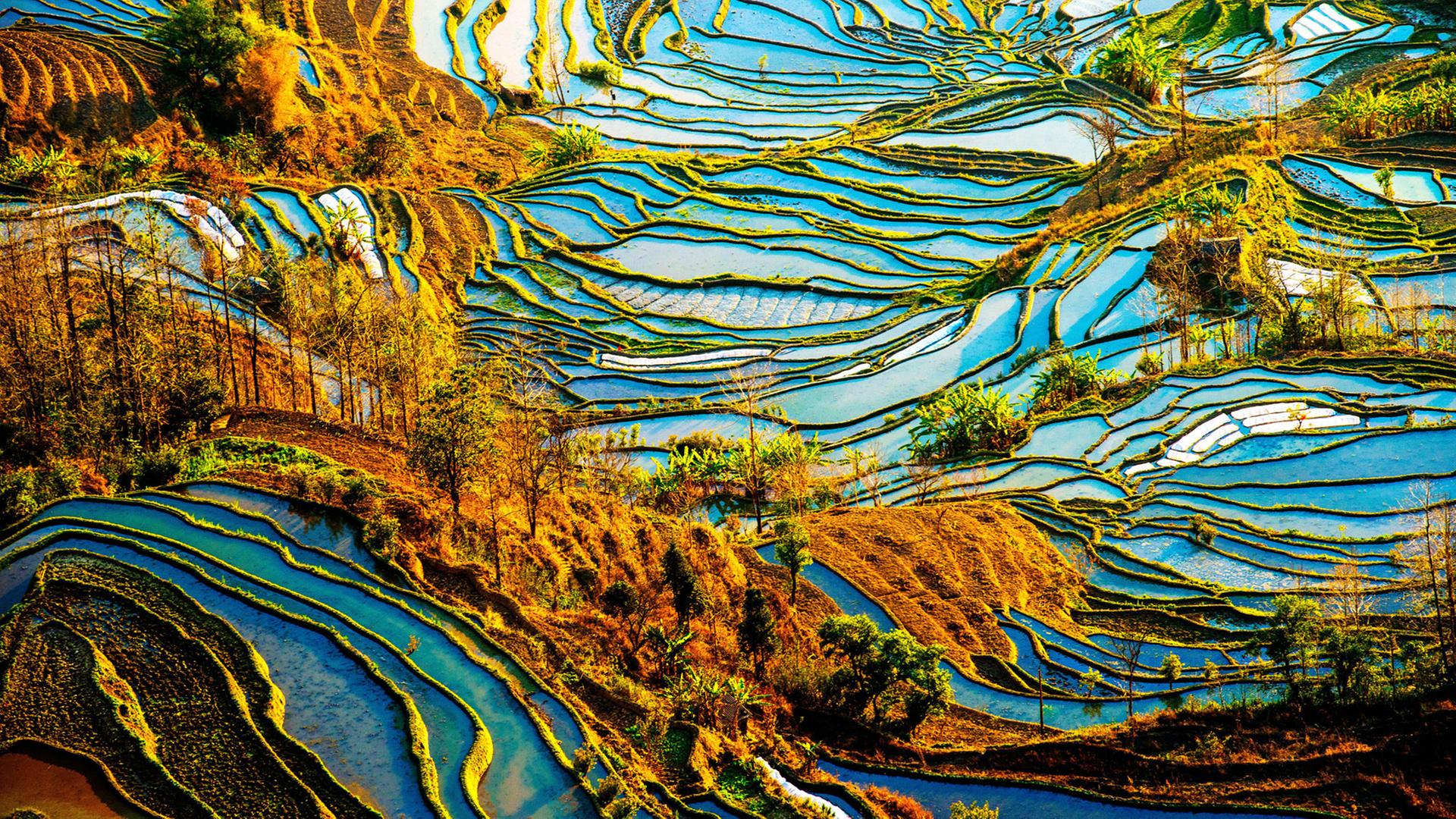Die Honghe Hani Reisterrassen in China, ein UNESCO Weltkulturerbe