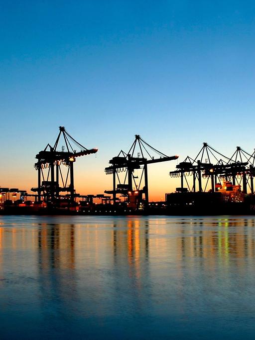 Freier Handel erwünscht? Das Container-Terminal in Hamburg