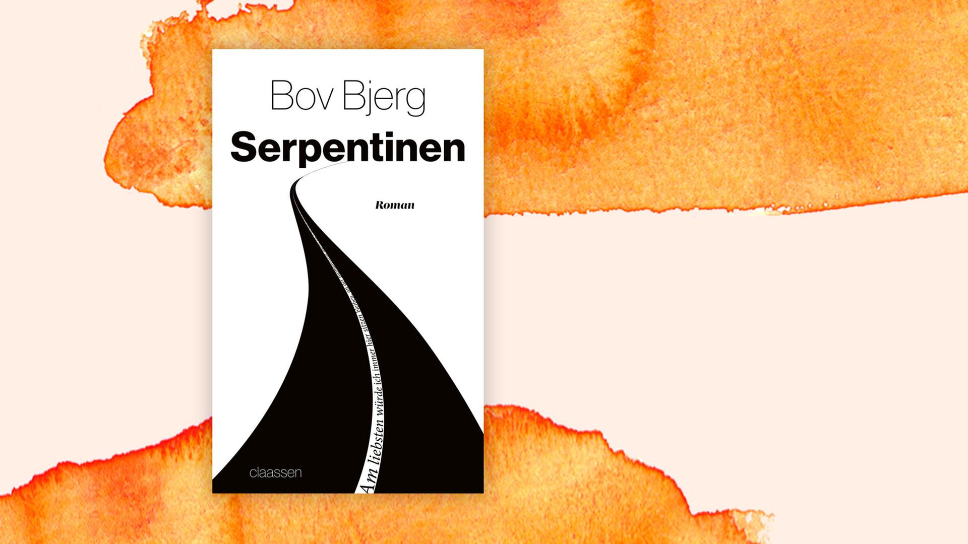 Das Bild zeigt das Cover vom neuen Buch von Bov Bjerg. Es heißt "Serpentinen".