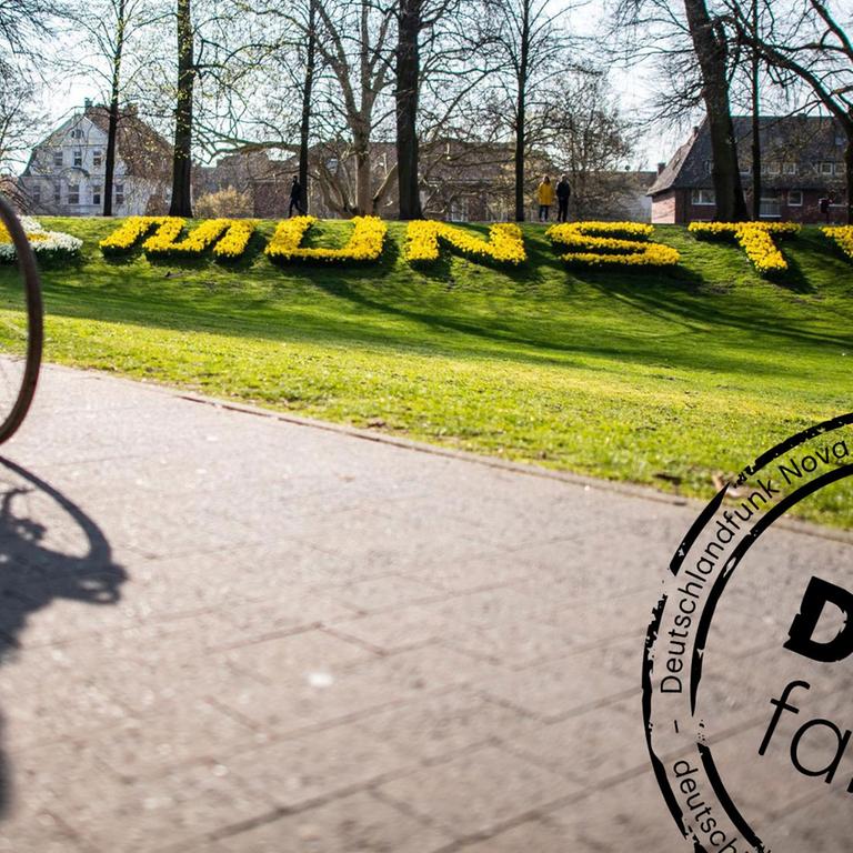 Eine Radfahrerin fährt auf der Promenade entlang, im Hintergrund steht der Schriftzug «Münster», aus Blumen gefertigt. Der ADFC-Fahrradklima-Test 2018 ist eine Befragung mit dem Ziel der vergleichbaren Erfassung von Radfahrbedingungen in Staädten und Gemeinden. Die Datenerhebung zum ADFC-Fahrradklima-Test 2018 erfolgte vom 1.9.2018 bis zum 30.11.2018. Deutschlandweit wurden Radfahrer gebeten, ihre Einschätzung zum Radverkehr in ihrer Stadt abzugeben. Mit Denkfabrik-Stempel.