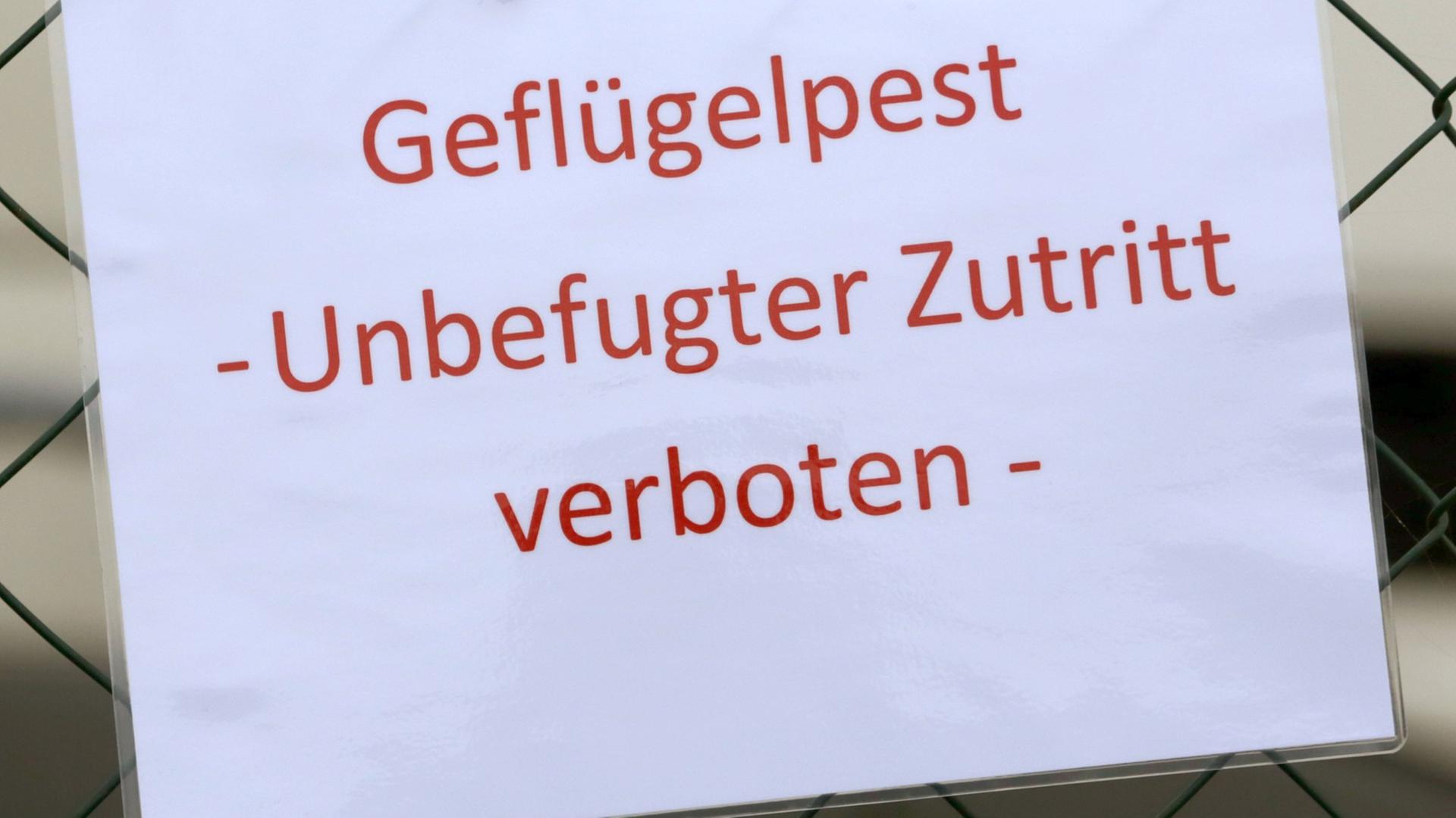 Ein Schild informiert am 06.11.2014 über den Ausbruch der Geflügelpest in einem Mastputenbetrieb im Kreis Vorpommern-Greifswald.