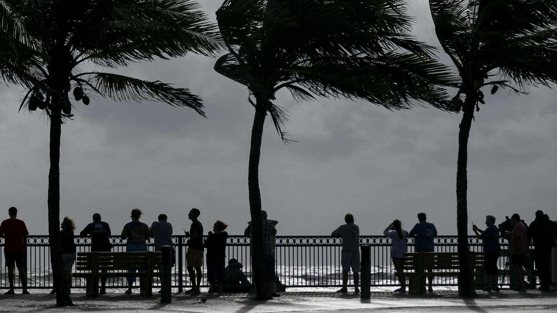 Viele Menschen stehen unter sich im Wind biegenden Palmen vor einem Zaun am Meeresufer und blicken auf die Wellen.